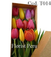 caja12tulipanes