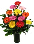 colorful flowers, sending pretty floral arrangements